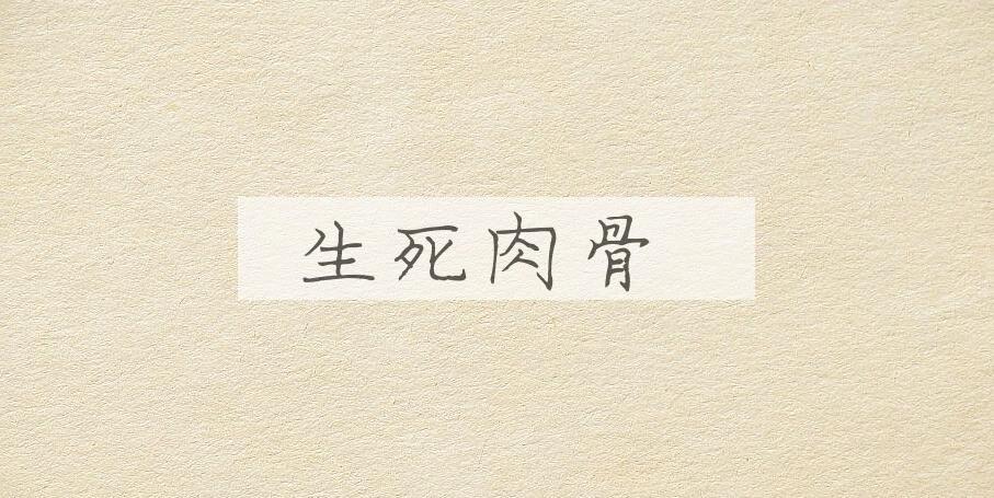 成语生死肉骨是什么意思？
