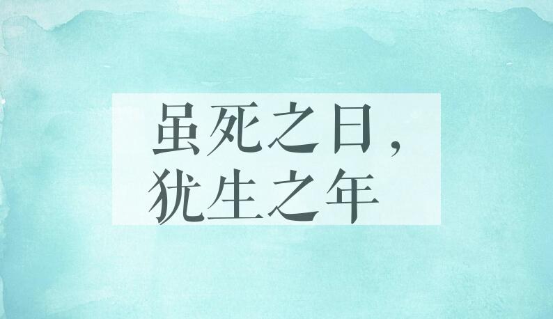 成语虽死之日，犹生之年是什么意思？
