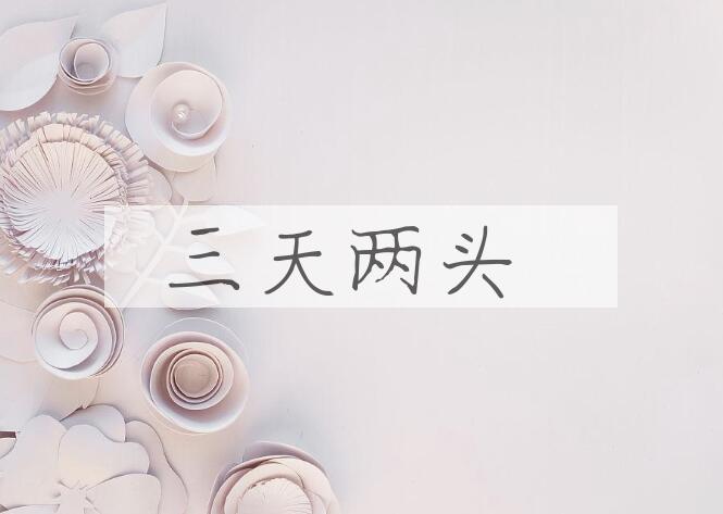 成语三天两头是什么意思？