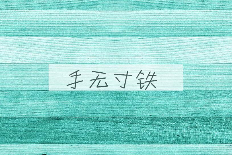 成语手无寸铁是什么意思？