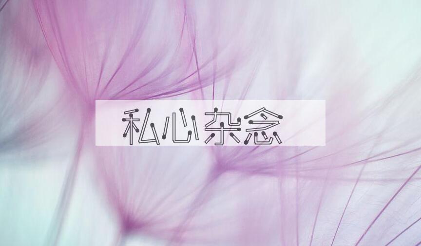 成语私心杂念是什么意思？