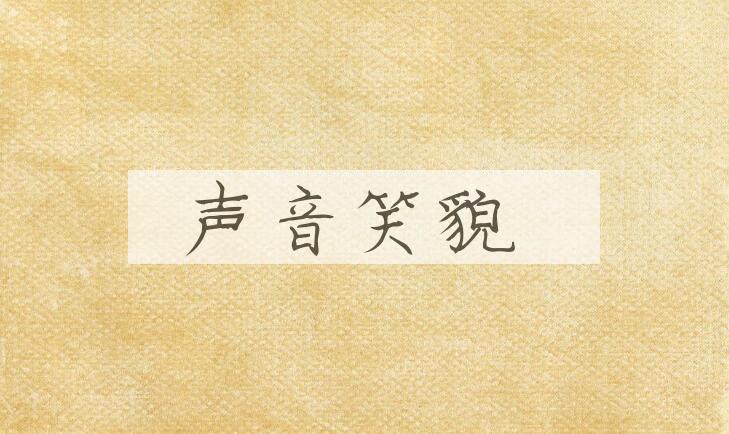 成语声音笑貌是什么意思？