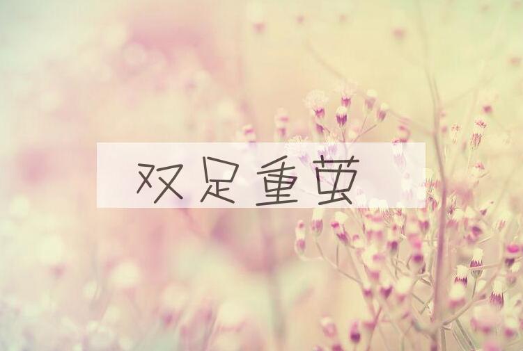 成语双足重茧是什么意思？