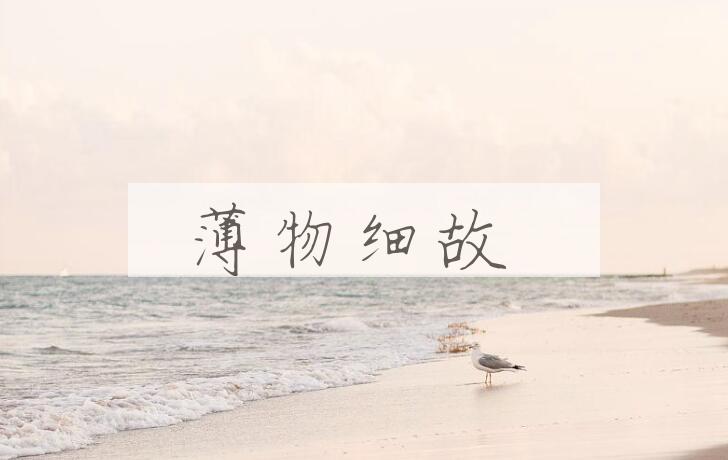 成语薄物细故是什么意思？