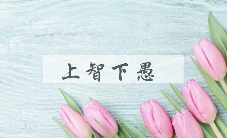 成语上智下愚是什么意思？