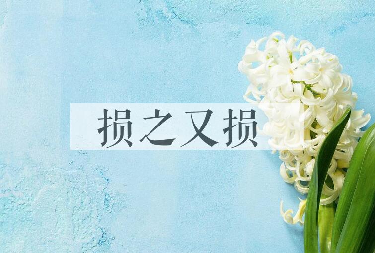 成语损之又损是什么意思？