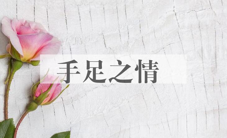 成语手足之情是什么意思？