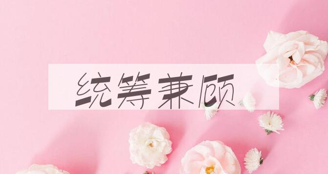 成语统筹兼顾是什么意思？
