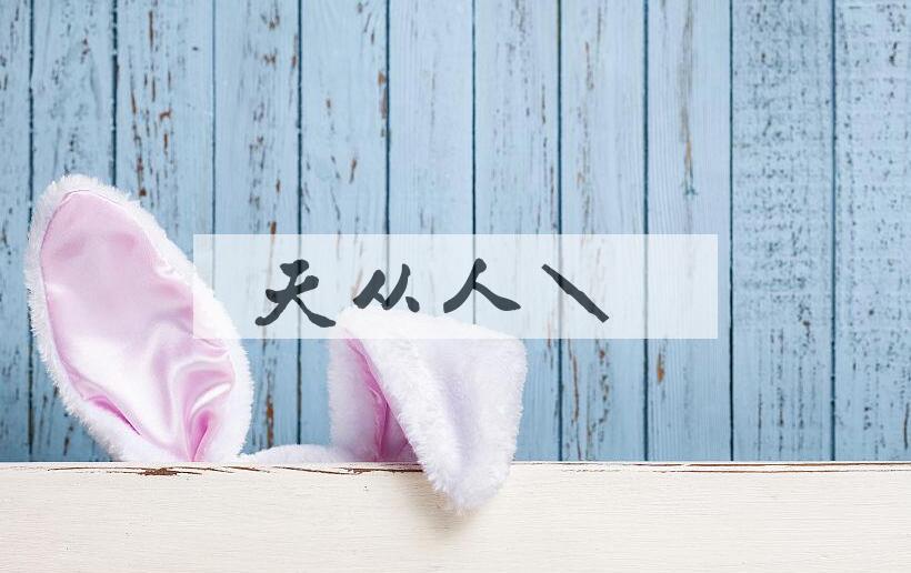成语天从人愿是什么意思？