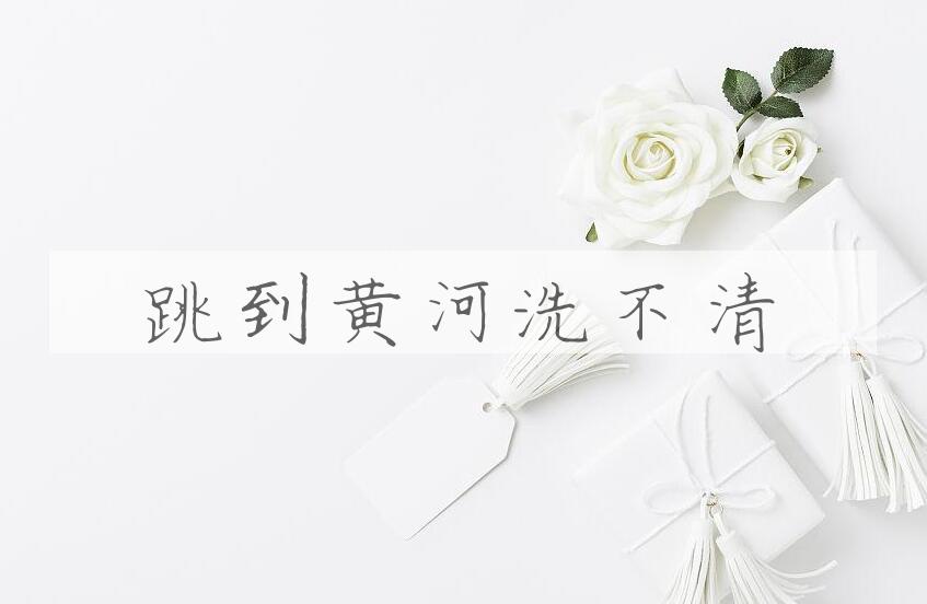 成语跳到黄河洗不清是什么意思？