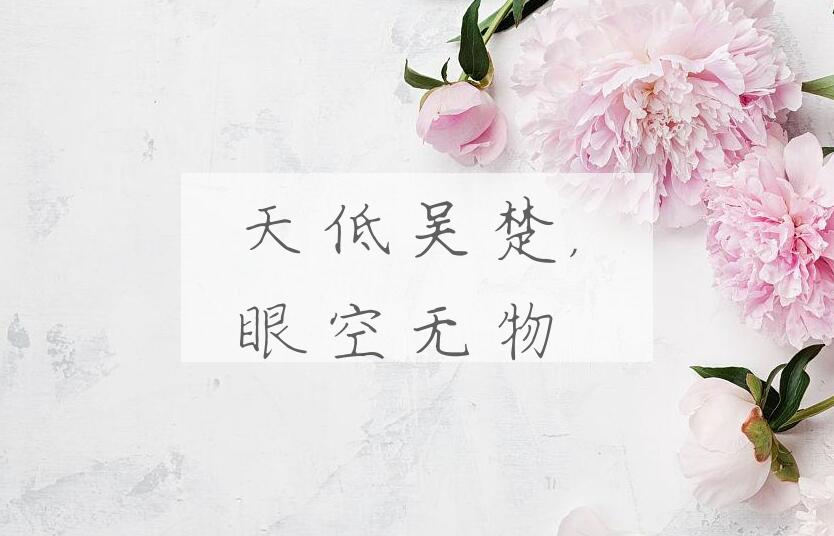 成语天低吴楚，眼空无物是什么意思？