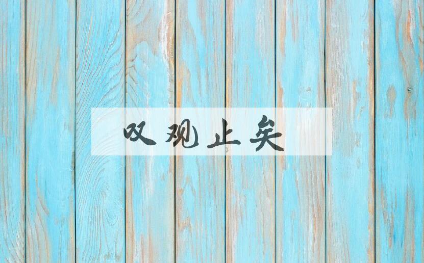 成语叹观止矣是什么意思？