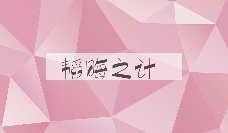 成语韬晦之计是什么意思？