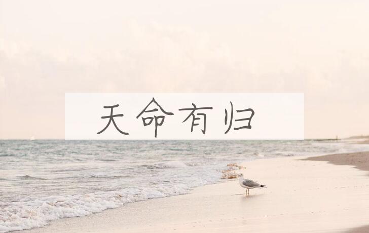 成语天命有归是什么意思？