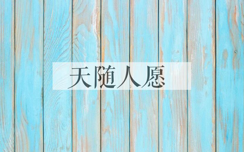 成语天随人愿是什么意思？
