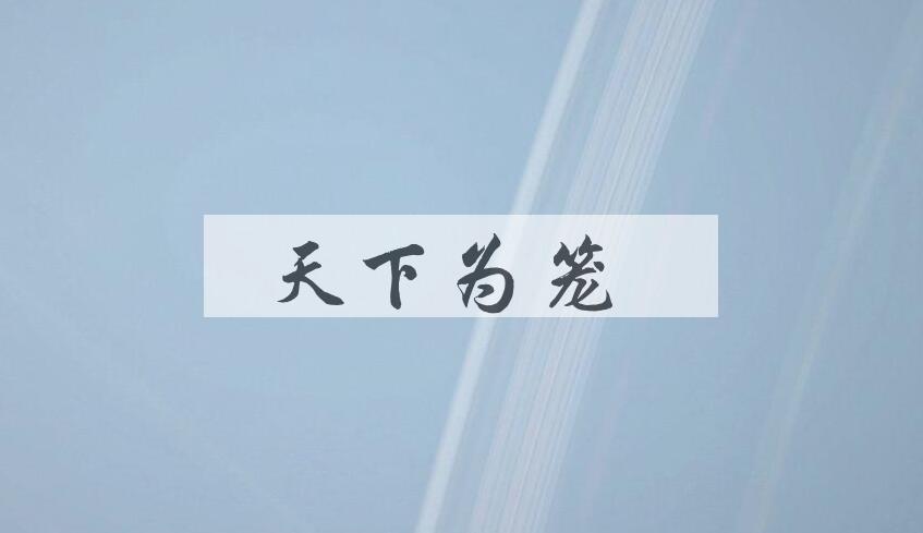 成语天下为笼是什么意思？