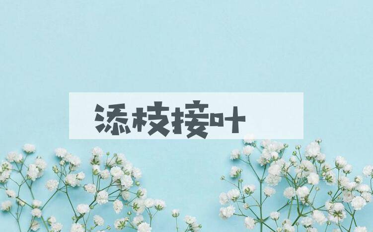 成语添枝接叶是什么意思？
