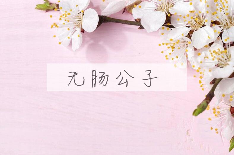 成语无肠公子是什么意思？
