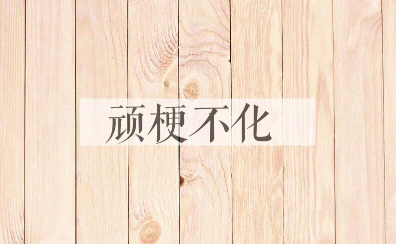成语顽梗不化是什么意思？
