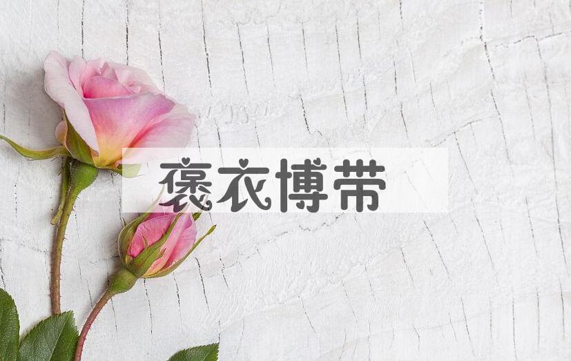 成语褒衣博带是什么意思？