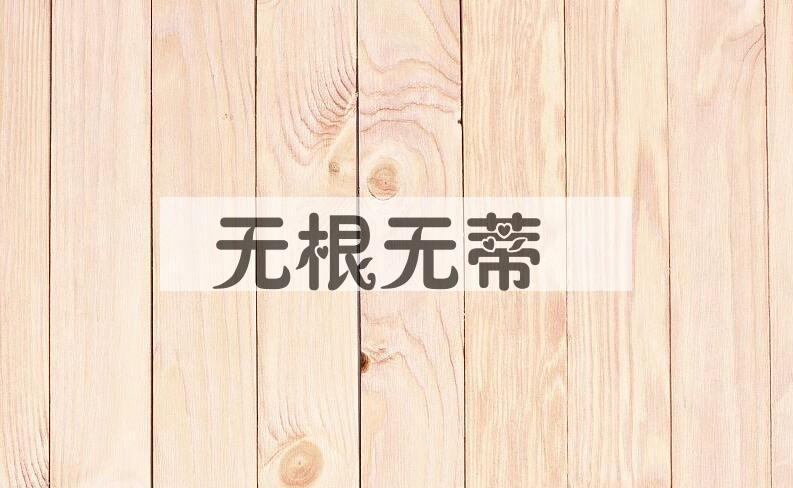成语无根无蒂是什么意思？