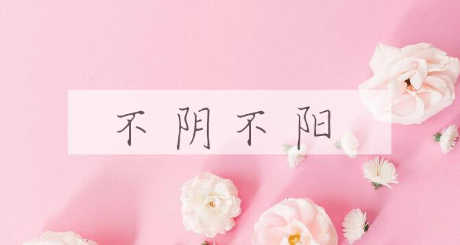 成语不阴不阳是什么意思？