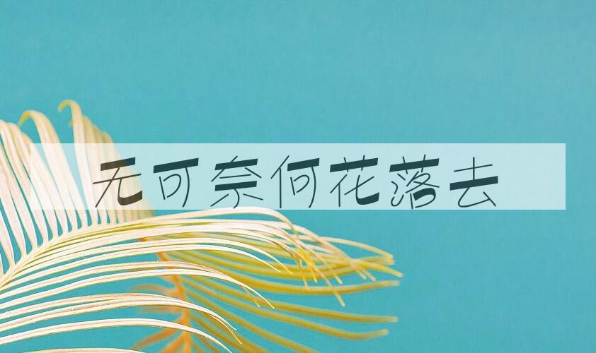 成语无可奈何花落去是什么意思？