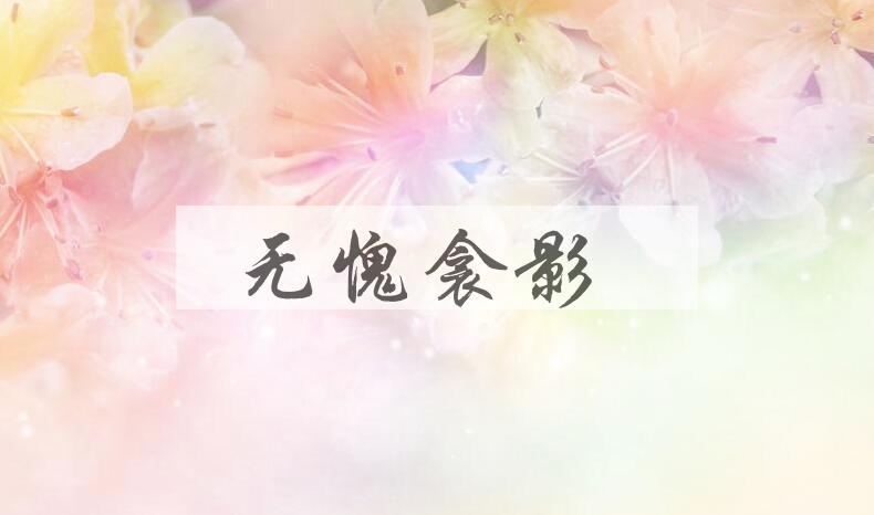 成语无愧衾影是什么意思？