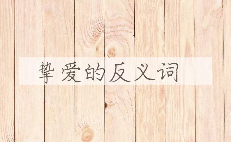 用挚爱造句