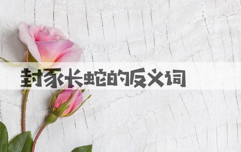 用封豕长蛇造句