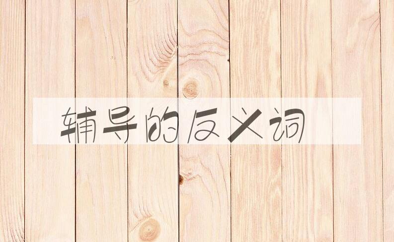 用辅导造句