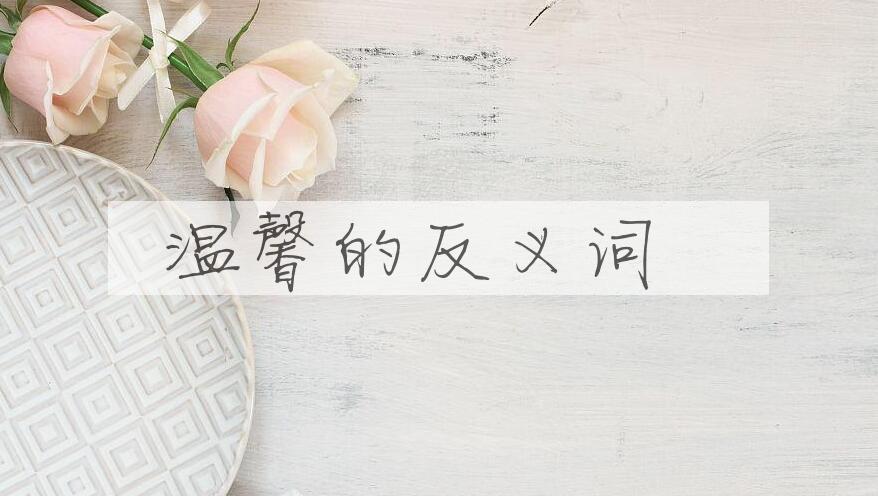 用温馨造句