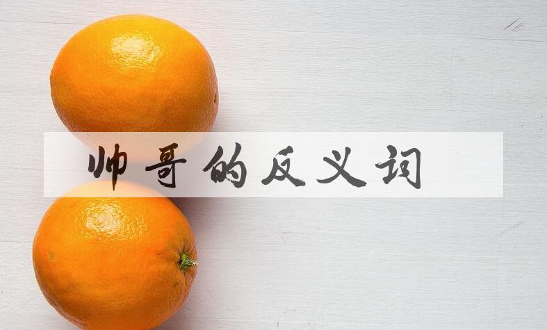 用帅哥造句