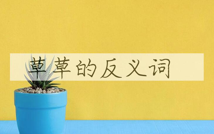 用草草造句