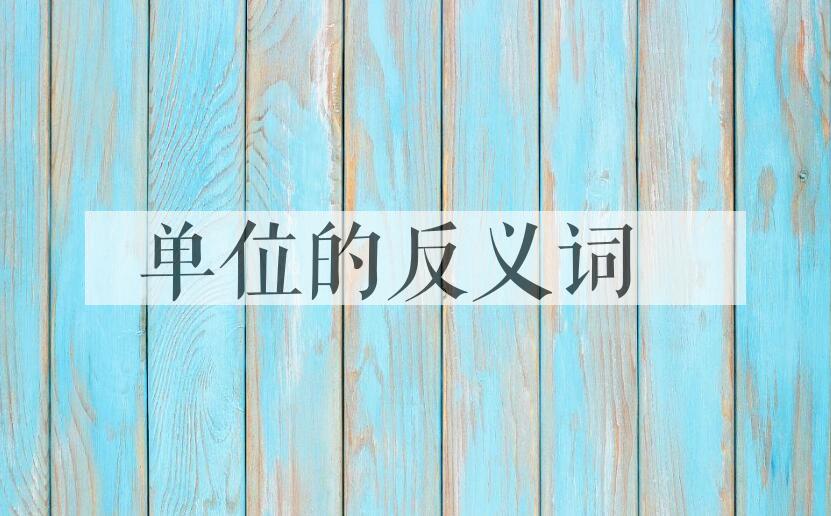 用单位造句