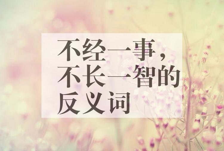 用不经一事，不长一智造句