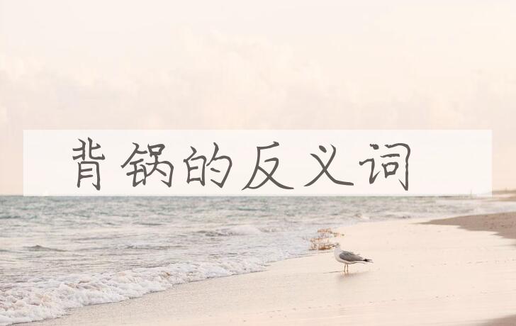 用背锅造句
