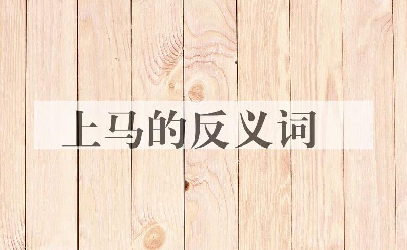 用上马造句