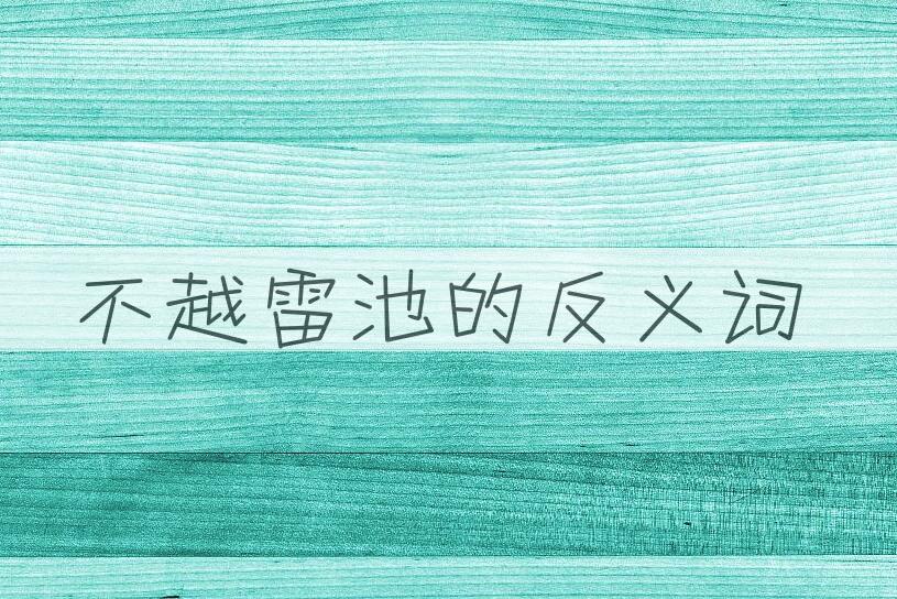 用不越雷池造句