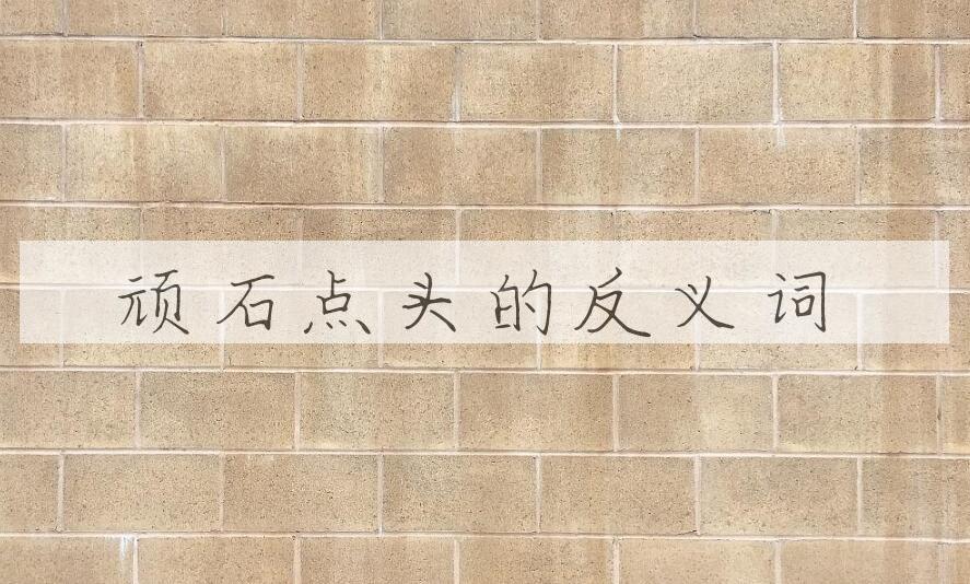 用顽石点头造句