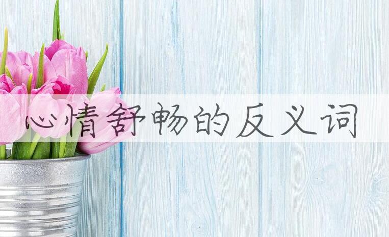 用心情舒畅造句