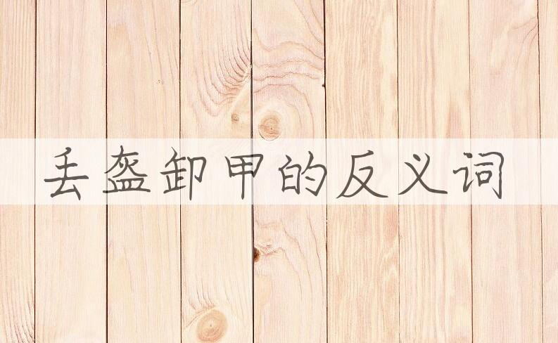 用丢盔卸甲造句