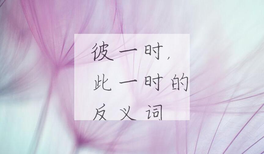 用彼一时，此一时造句