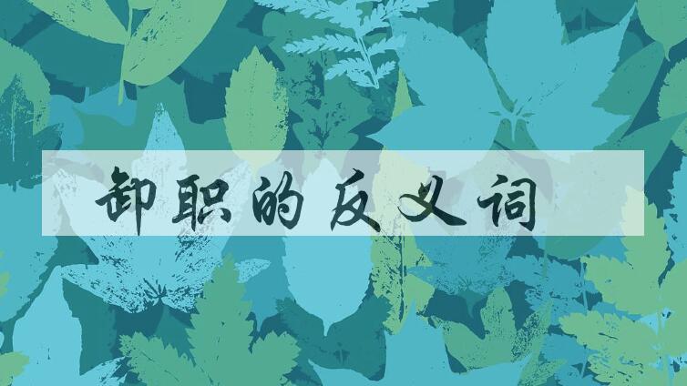 用卸职造句