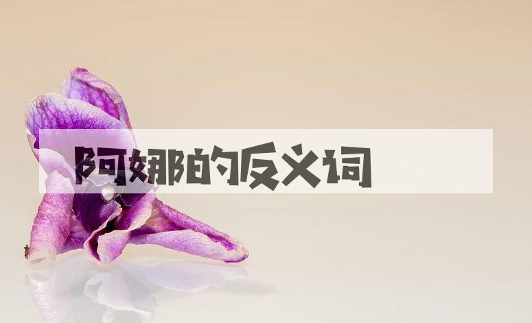 用阿娜造句