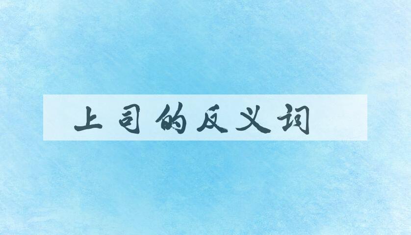 用上司造句