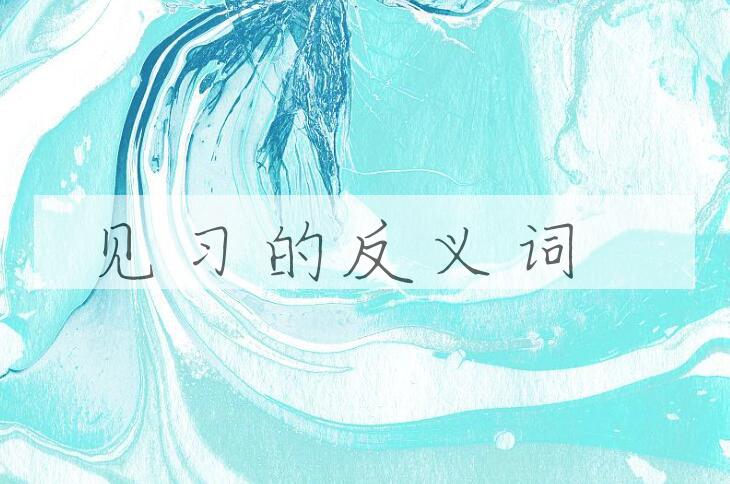 用见习造句