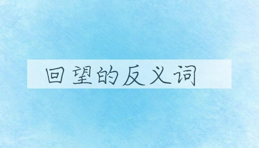 用回望造句