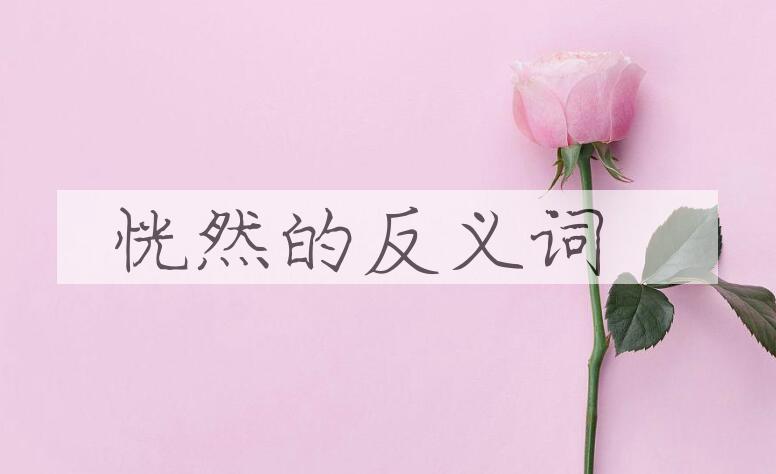 用恍然造句
