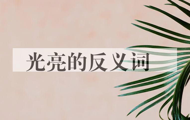 用光亮造句